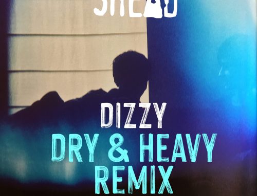 Dizzy (Dry & Heavy remix)