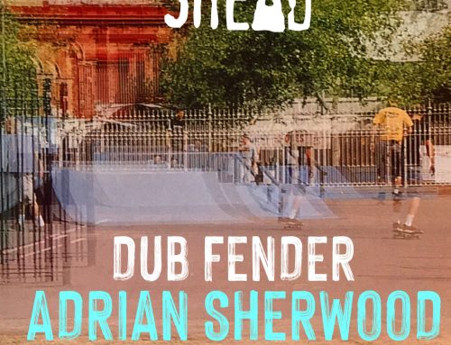 Dub Fender – Adrian Sherwood Remix
